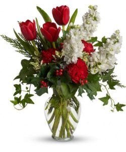 Make spirits bright on the holidays or any day with ravishingly red tulips and carnations in a classic ginger jar vase. Accented with cedar, ivy and holly, it makes a stunning gift that turns any gathering into a celebration.