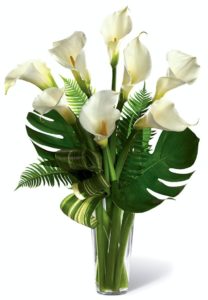 Elegant, dramatic, understated and sophisticated. This simple bouquet of white calla lilies is bound to make a big impact celebrating a very special life. When it's time to pay tribute to someone who s left behind memories of a big life well-lived, this arrangement does so, and with a rare eloquence. The sleek, sculptural white calla lilies open against a background of sword fern fronds and other greens arranged in a clear glass French vase. Appropriate for a wake, funeral service or to console grieving family or friends at home.