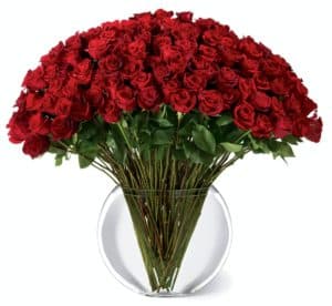 They leave you breathless with every kiss. Sweep them off their feet with 100 stems of our 24-inch premium long-stemmed red roses. Each stem flaunts the beauty of their beautiful swirling petals, gorgeously situated in a sophisticated clear glass 13-inch pillow vase, to astound and amaze your special someone with the bounty of their timeless elegance. Approx. 33"H x 38"W.