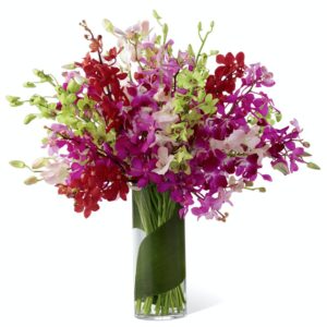 Let your sweet sentiments shine with vibrant color and exuberant elegance. An assortment of brilliant dendrobium orchids in the shades of red, lavender, green, fuchsia, hot pink and pale pink are brought together to create a simply fantastic display. Wrapped in a single tropical leaf and perfectly arranged in a superior clear glass vase, this bouquet will delight your special recipient with its exquisite beauty and long-lasting blooms. Approximately 22"H x 22"W.