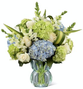 Clusters of blue and green hydrangea give this floral arrangement a fresh focus, drawing the eye with pops of white roses and snapdragons perfectly placed with an artist's eye to create an unforgettable moment upon delivery. Notice how the flax leaves are placed within the arrangement to give it all a sense of movement and grace, taking the design aesthetic to a new level of sophistication. The subtle light blue color of the vase helps to bring forth the blues and greens within the bouquet, making this both a warm and airy design that will help you send a gift that truly speaks from your heart. GOOD bouquet includes 13 stems with vase. Approx. 19"H x 14"W. BETTER bouquet includes 22 stems. Approx. 21"H x 16"W.