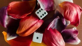 Dice,To,Play,Among,The,Leaves,Of,Flowers