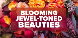 FM4-Bold—Jewel-Toned-Beauties—Blog